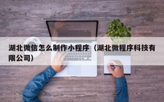 分宜湖北微信怎么制作小程序（湖北微程序科技有限公司）