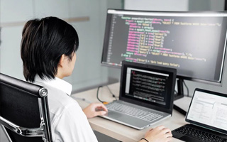 分宜 api php源码,下载的php源码怎么运行呢？